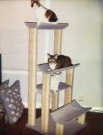 cat tree with curved perch