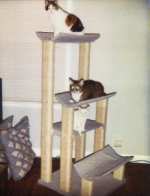 DIY Cat Tree Plans